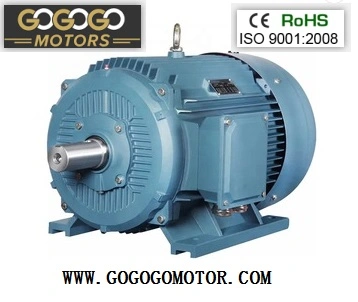 Chinese CE Ie2 Ie3 Ye2 Ye3 Yb3 Ybx3 Y2 Yc Ml Yl Premium High Efficiency Electric/Industrial /Electrical Induction Asynchronous High Power AC Motor Manufacturer